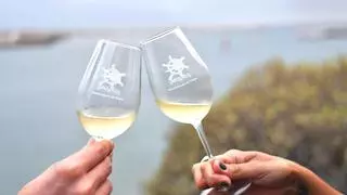 Los vinos de Lanzarote de la añada 2023 reciben la calificación de "muy buena": los detalles