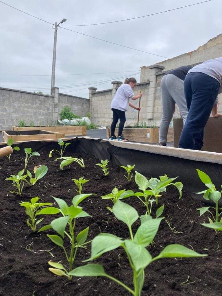 El Cotayo se vuelca con su cultivo ecológico: así trabajan los huertos en el colegio de Siero