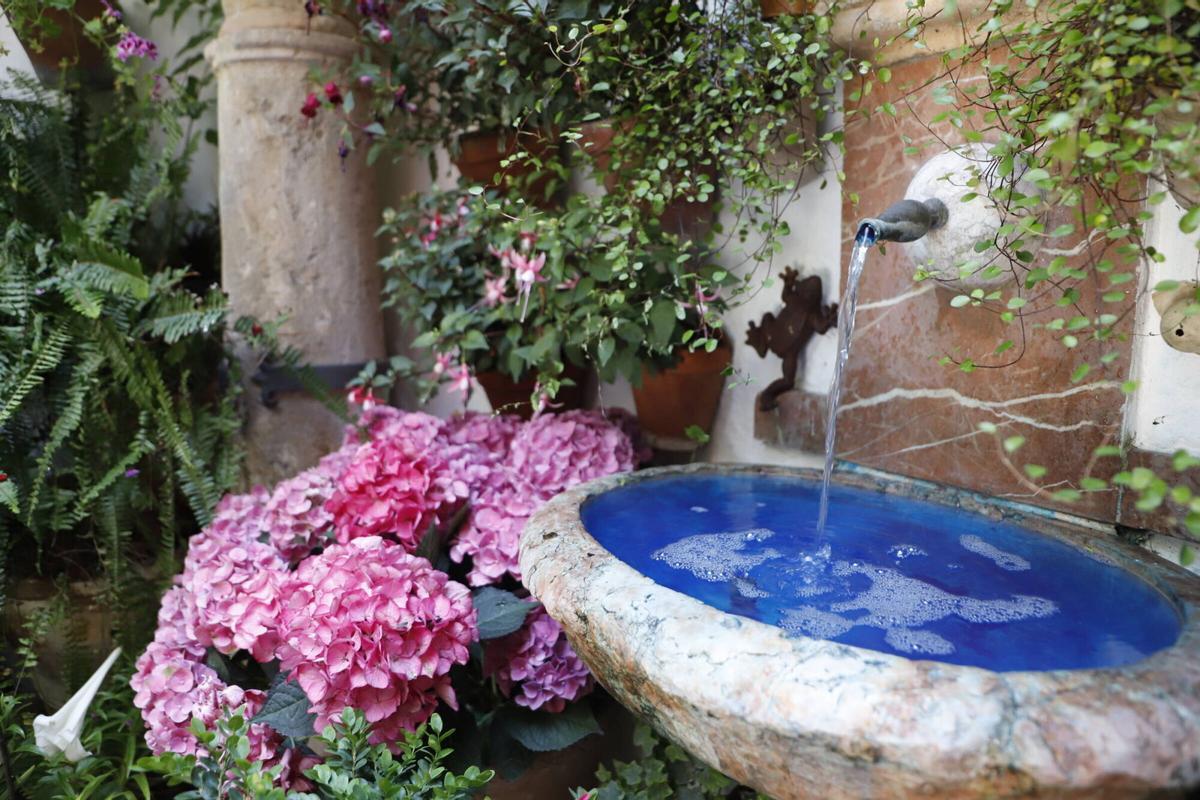 La ruta de los patios de San Lorenzo, en imágenes