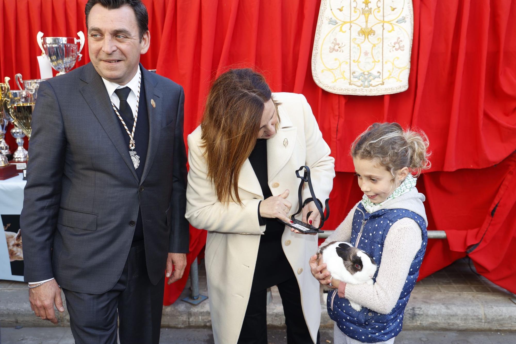 Búscate en la bendición de animales de Sant Antoni de València