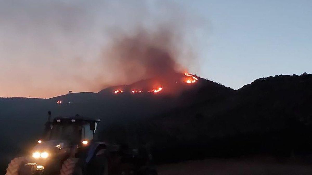 Incendio en el paraje de El Aljibe, en Álora.