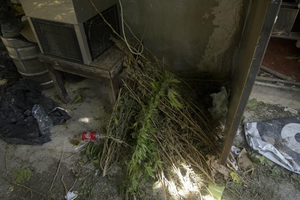 Operación en Las Torres contra la droga