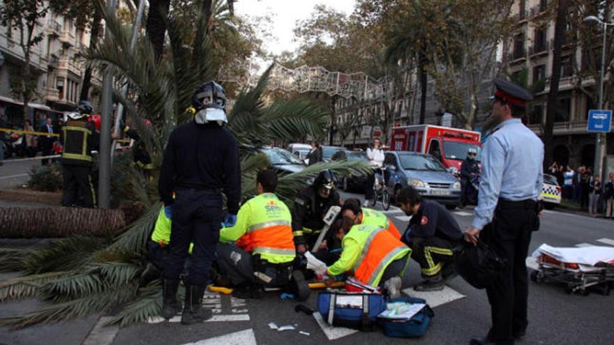 Barcelona Dos ferits en caure una palmera