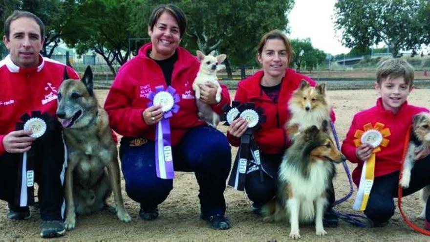 El Esportiu Agility Almussafes consigue 2 medallas en la última cita del nacional