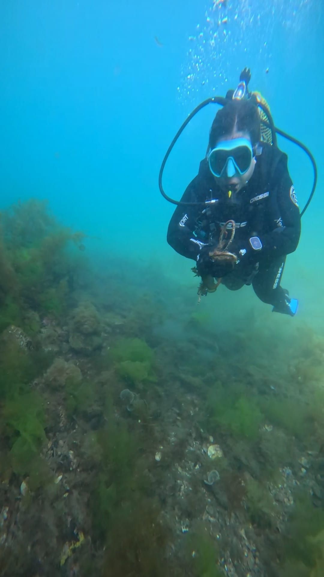 "Recuperación do Morrazo Somerxido", una iniciativa del Centro de Buceo Rías Baixas