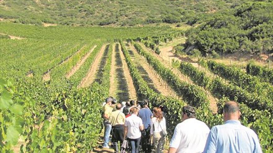 Un sector que empieza a brindar con los turistas