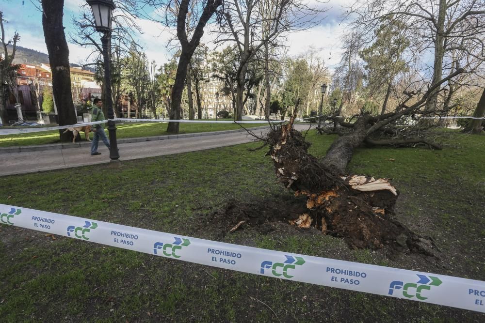 Temporal de viento y oleaje en Asturias