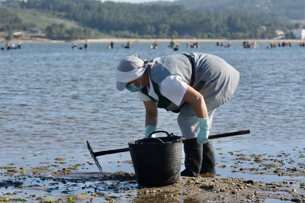 El marisqueo regresa a la ría de Pontevedra tras cuatro meses de parón