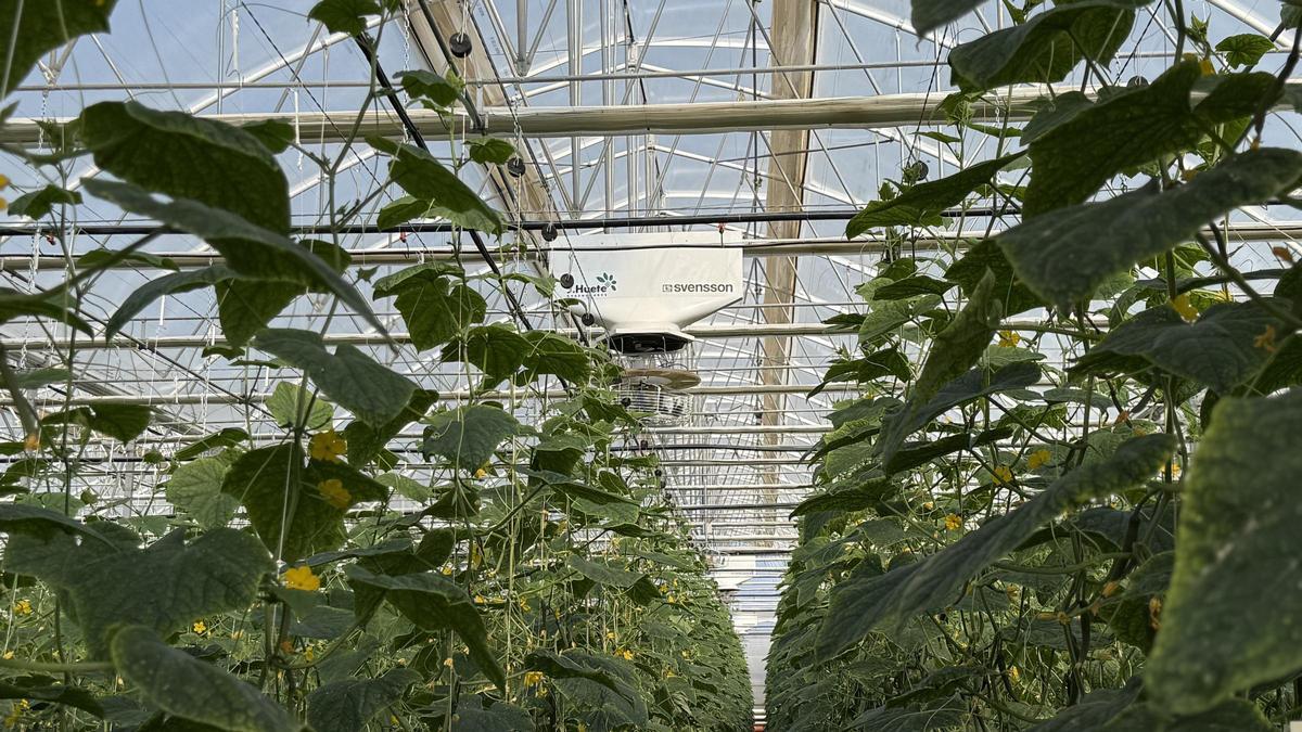 La estructura incorpora doble pilar y refuerzos laterales específicamente calculados para soportar altas cargas de viento.