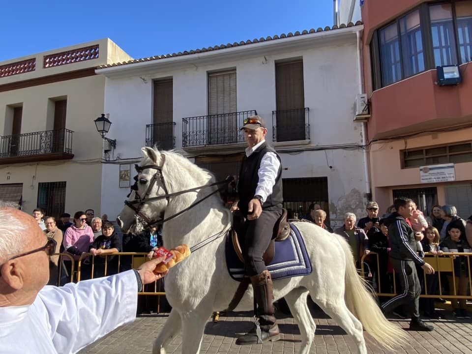 Daimús, Guardamar, Xeraco, l'Alqueria, Piles y Xeraco se vuelcan con Sant Antoni