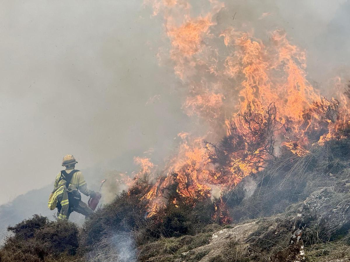 Una crema controlada a la muntanya d'Estac, al Pallars Sobirà, on s'han recuperat unes 45 hectàrees de pastures.