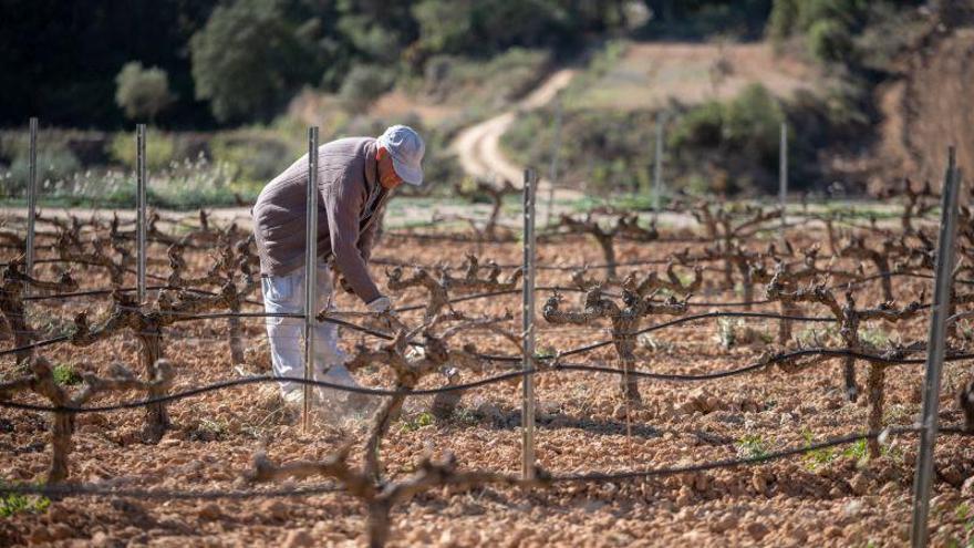 El nuevo presupuesto de la UE recorta un 10% la PAC, pero refuerza los fondos regionales