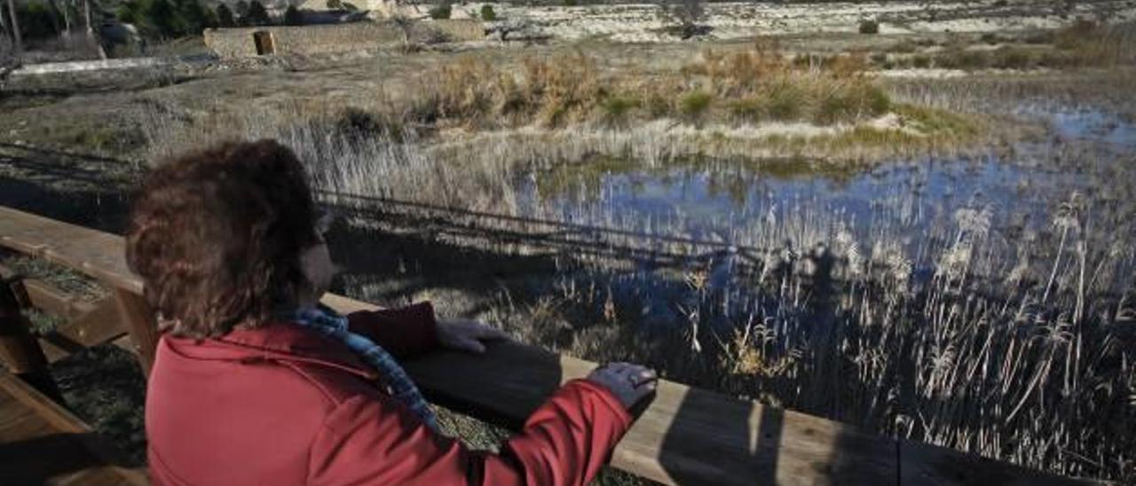 La Albufera de Gaianes renace