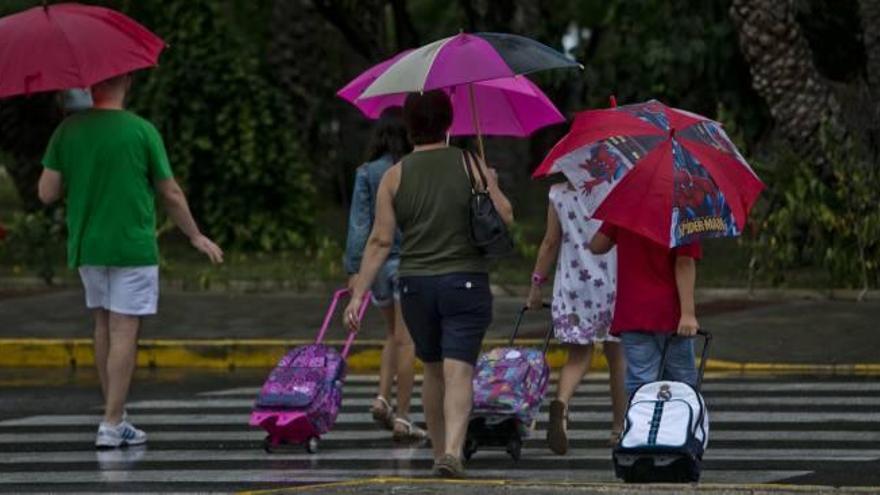 La lluvia anegó los accesos y algunas calles en Callosa de Segura y derribó una palmera en la estación del tren. Al lado, un campo encharcado en La Romana tras la tormenta.