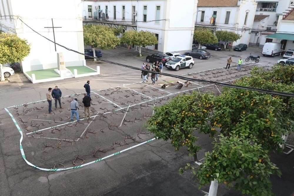 Los trofeos de la operación Fidelitas