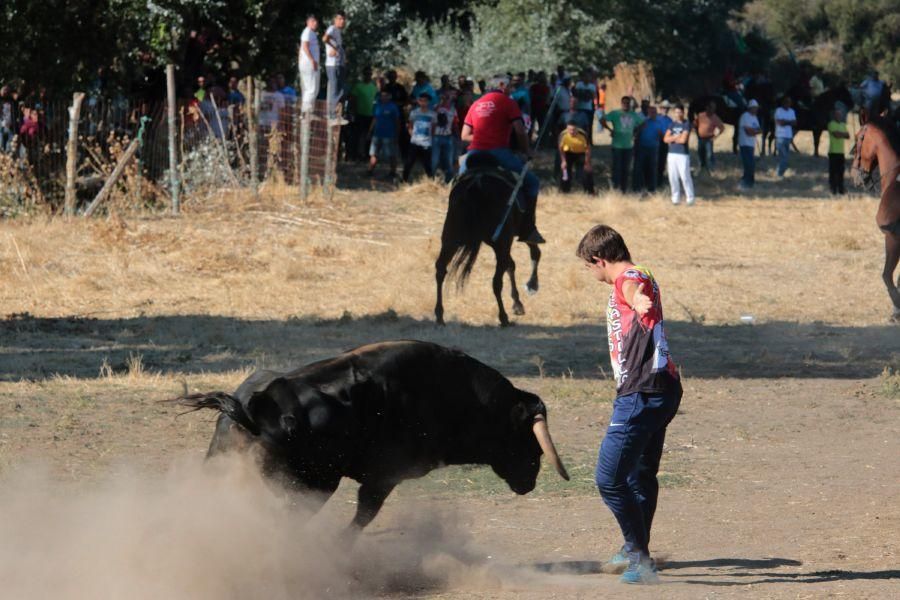 Encierro mixto en San Miguel de la Ribera