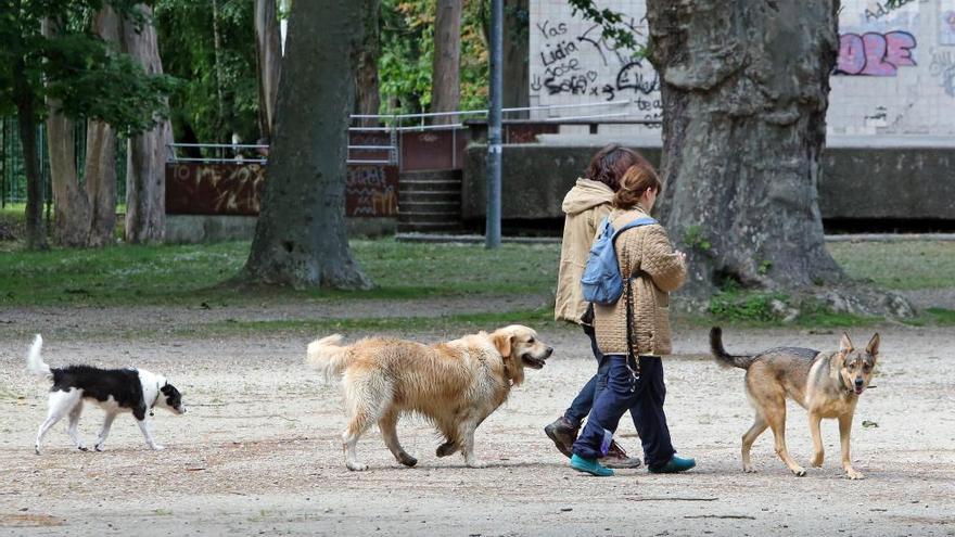 Dos mujeres pasean con sus perros en Castrelos // Marta G. Brea