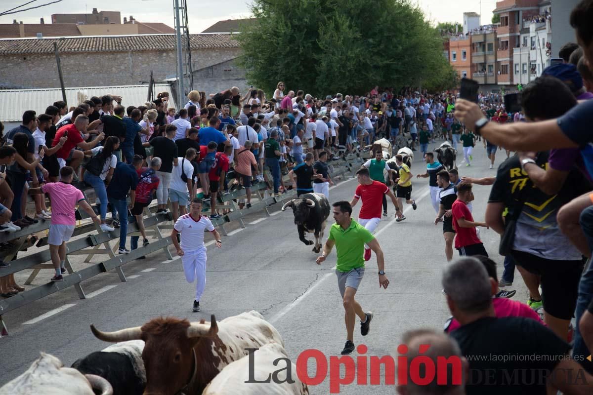 Primer encierro de la Feria del Arroz de Calasparra