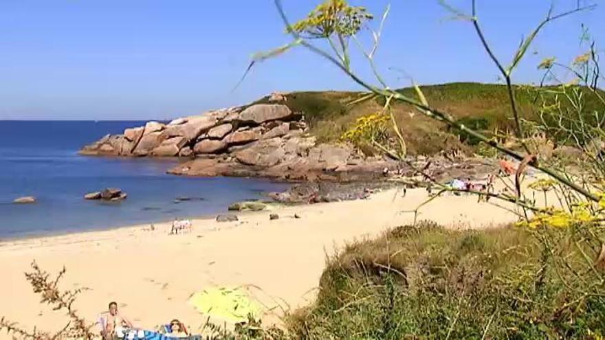 España lucirá 696 banderas azules en sus playas