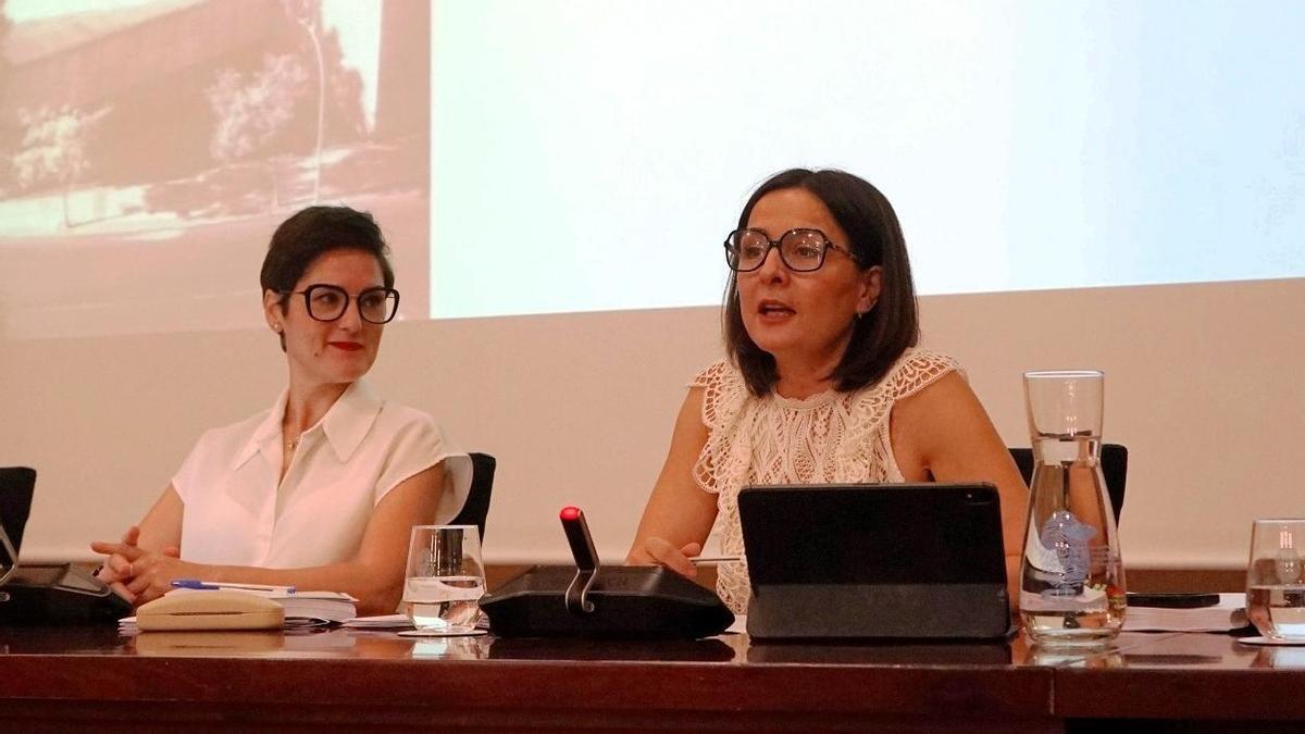 Junta General del nombramiento de Francisca Tena como gerente del consorcio.