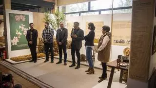 El cultivo del almendro protagoniza la nueva muestra del Museo de Pusol