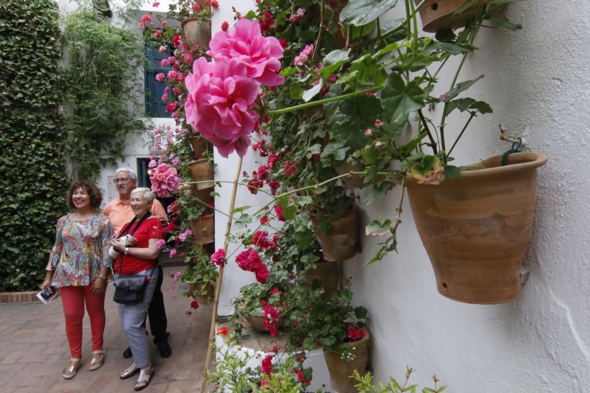 Los patios de Viana se abren a los visitantes del Mayo cordobés