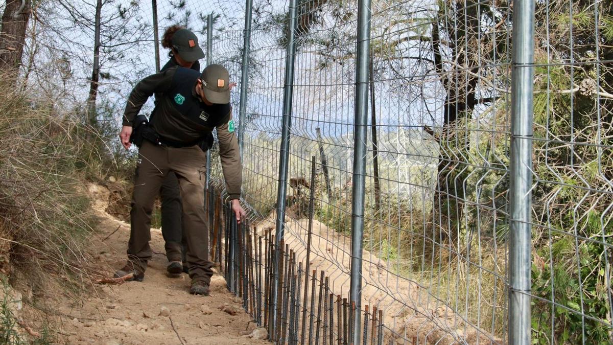 Dos membres del cos dels Agents Rurals revisen les tanques instal·lades en una zona forestal de Rubí.
