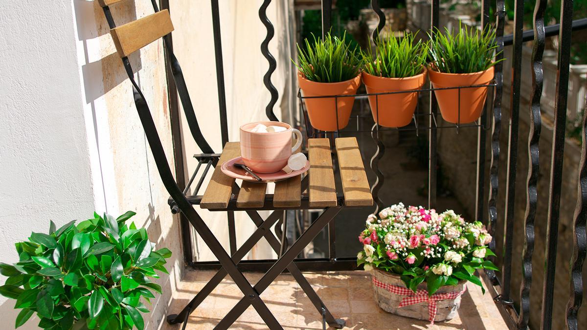 النبات العطري الذي يعتبر حاجزاً ضد البعوض والذباب والدبابير