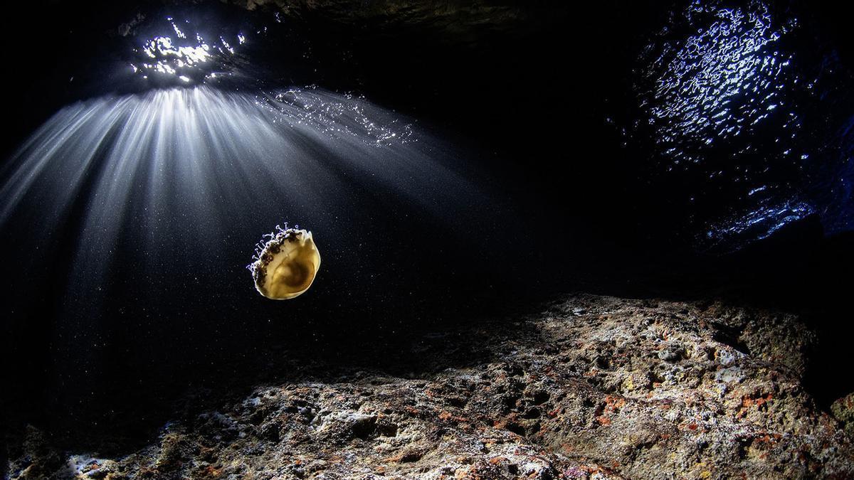 CONCURSO FOTOGRÁFICO | Ofrecen 10.000 euros en premios en un concurso de fotografía del mar balear: cómo participar, categorías y plazos