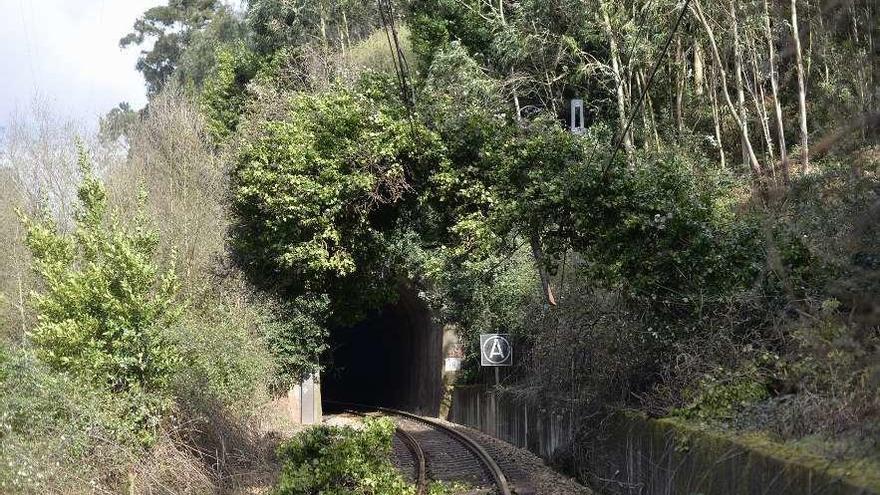 El árbol caído sobre la vía.