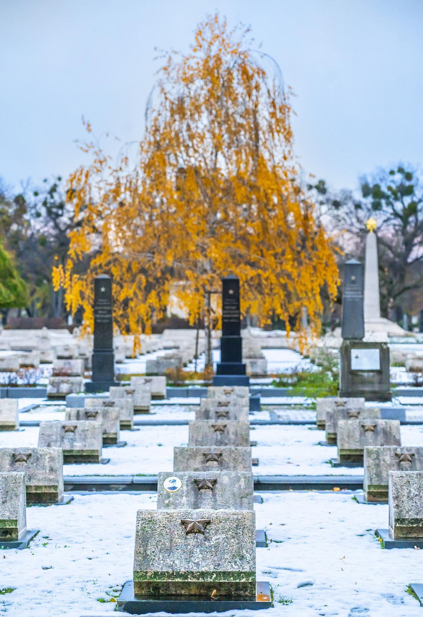 Cementerio Kerepesi.