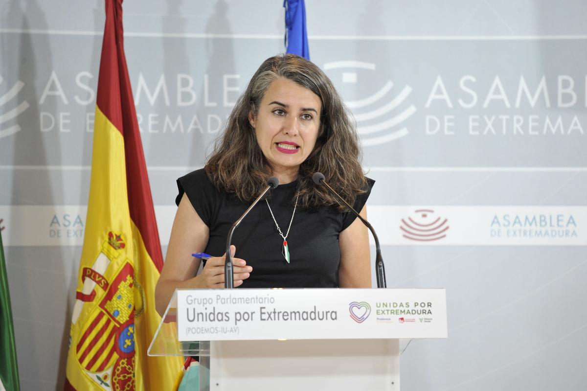 La portavoz de Unidas, Irene de Miguel, este jueves.