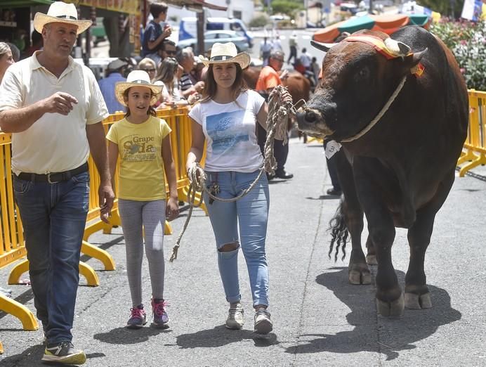 ENTREGA PREMIOS FERIA DE GANADO Y PROCESION ...