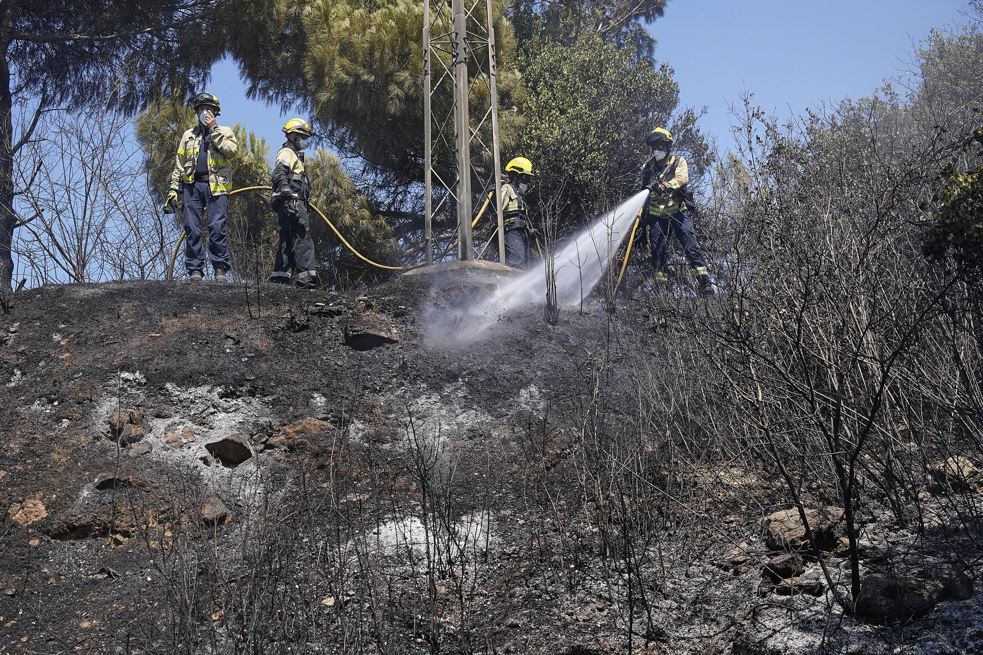 Incendi de vegetació a Girona