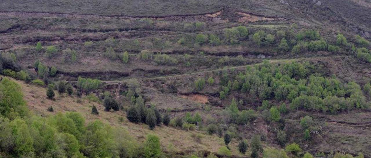 El monte Llosorio, en Mieres, donde hubo una mina a cielo abierto de Hunosa.