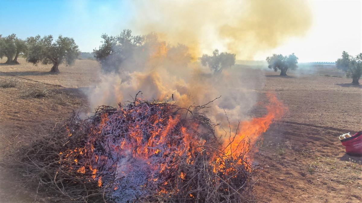 La poda de un agricultor arde en plena quema agrícola en un campo valenciano.