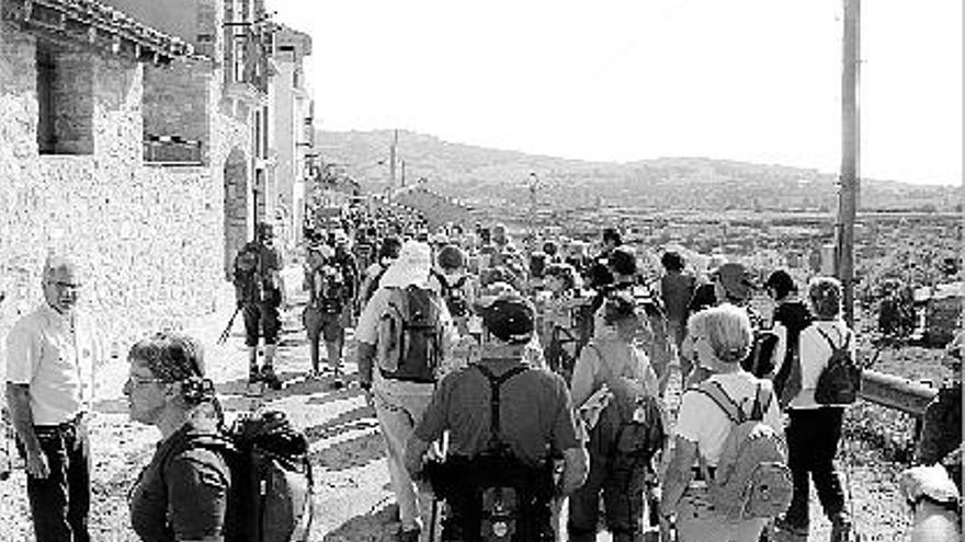 Los participantes en la jornada durante la marcha que realizaron de Boixar a la Pobla.