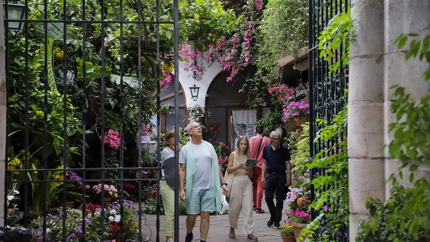 Los patios de San Andrés y el Realejo, en imágenes