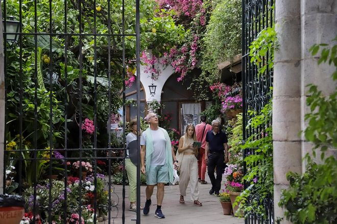 Los patios de San Andrés y el Realejo, en imágenes