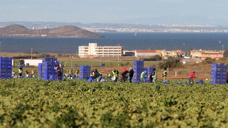 Los olvidados del Mar Menor