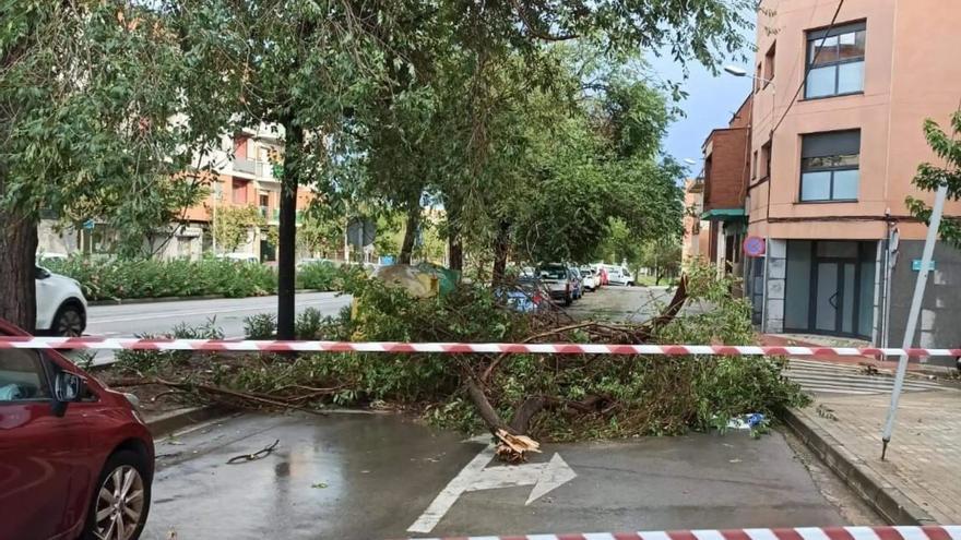 Un conductor va portar al CAP el nen ferit per la caiguda d&#039;un arbre en la tempesta de Vilanova