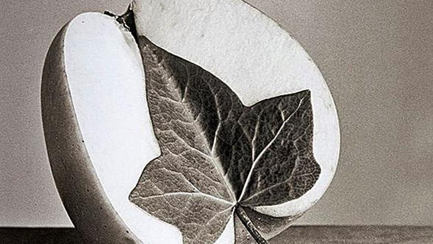 Chema Madoz Objeto encontrado,objeto perverso 