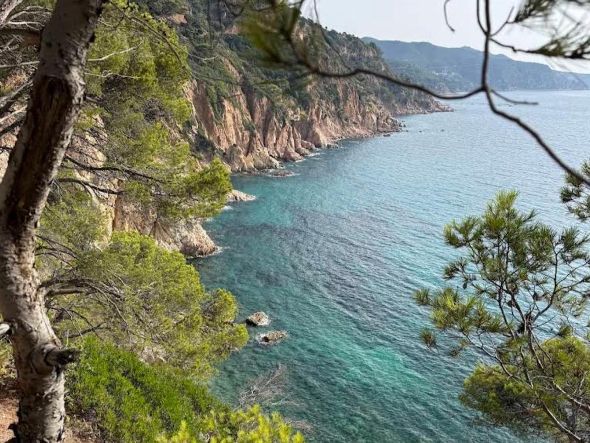 La Cala Futadera vista desde los acantilados.
