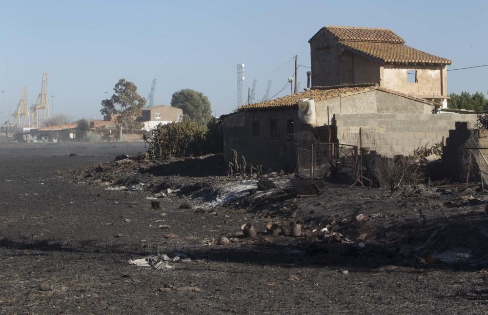 La Marjal dels Moros tras el incendio