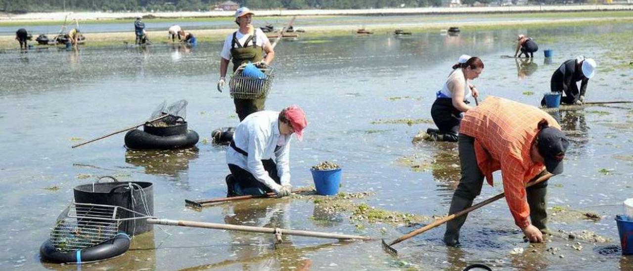 Mariscadoras en la ría de Pontevedra. // Rafa Vázquez