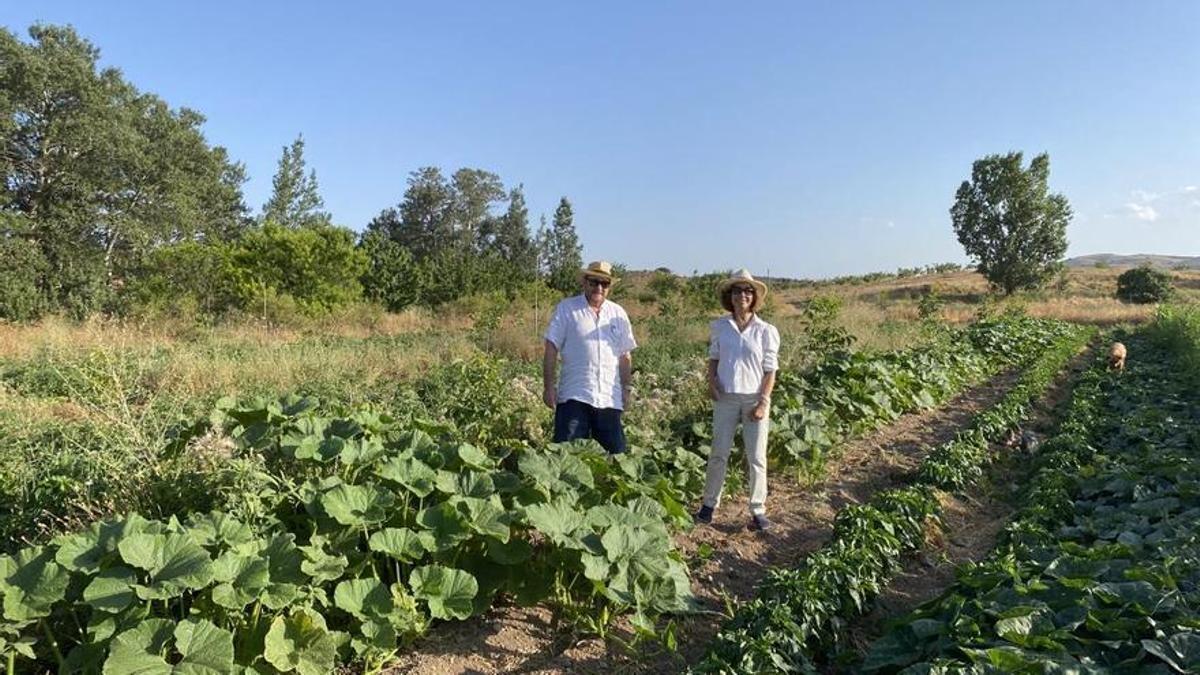 Paraje de la Junquera.