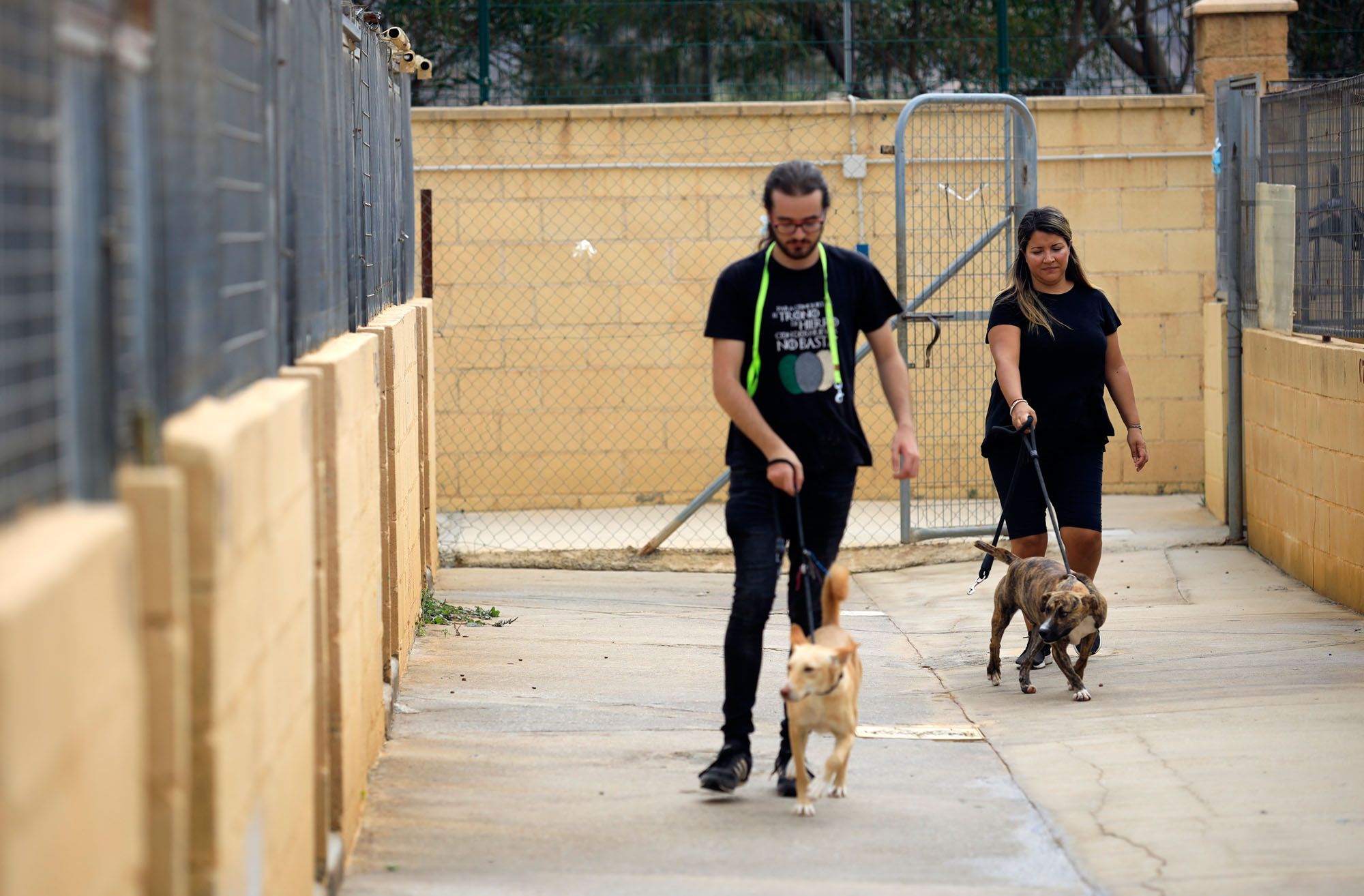 Estado de la Protectora de Animales de Málaga en julio de 2022