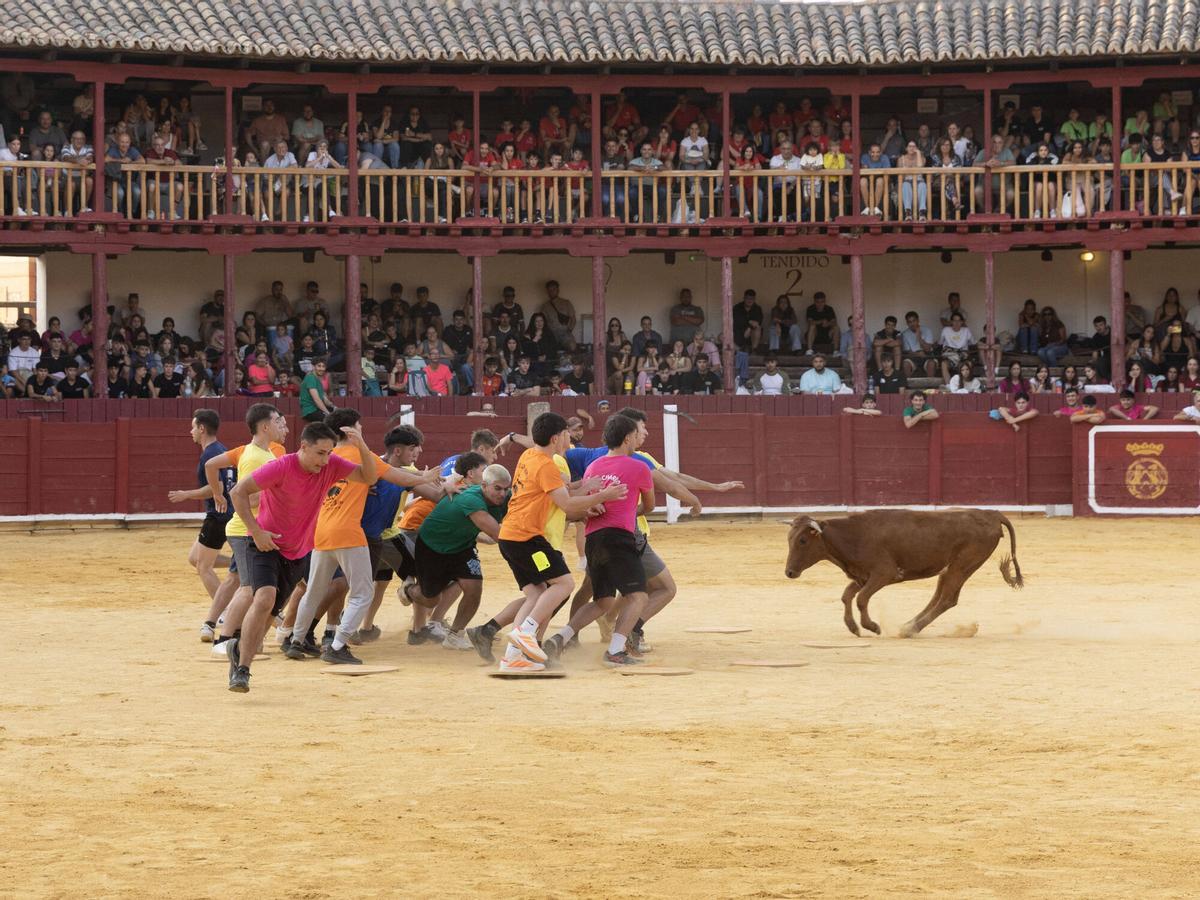 Toroprix Toro 2026
