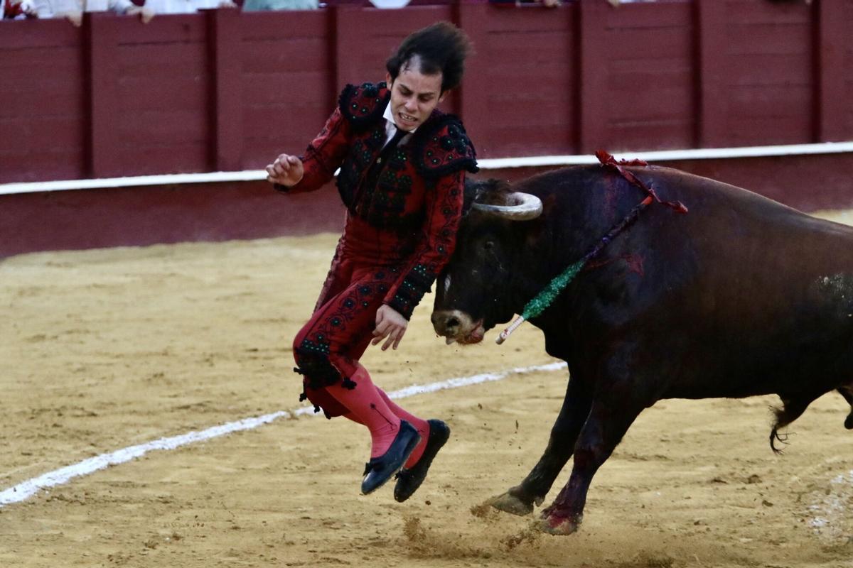 Novillada inaugural de la Feria Taurina