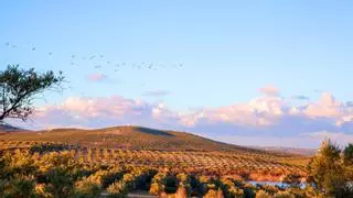 Aguilar de la Frontera, el pueblo de Córdoba que un rey intentó borrar del mapa